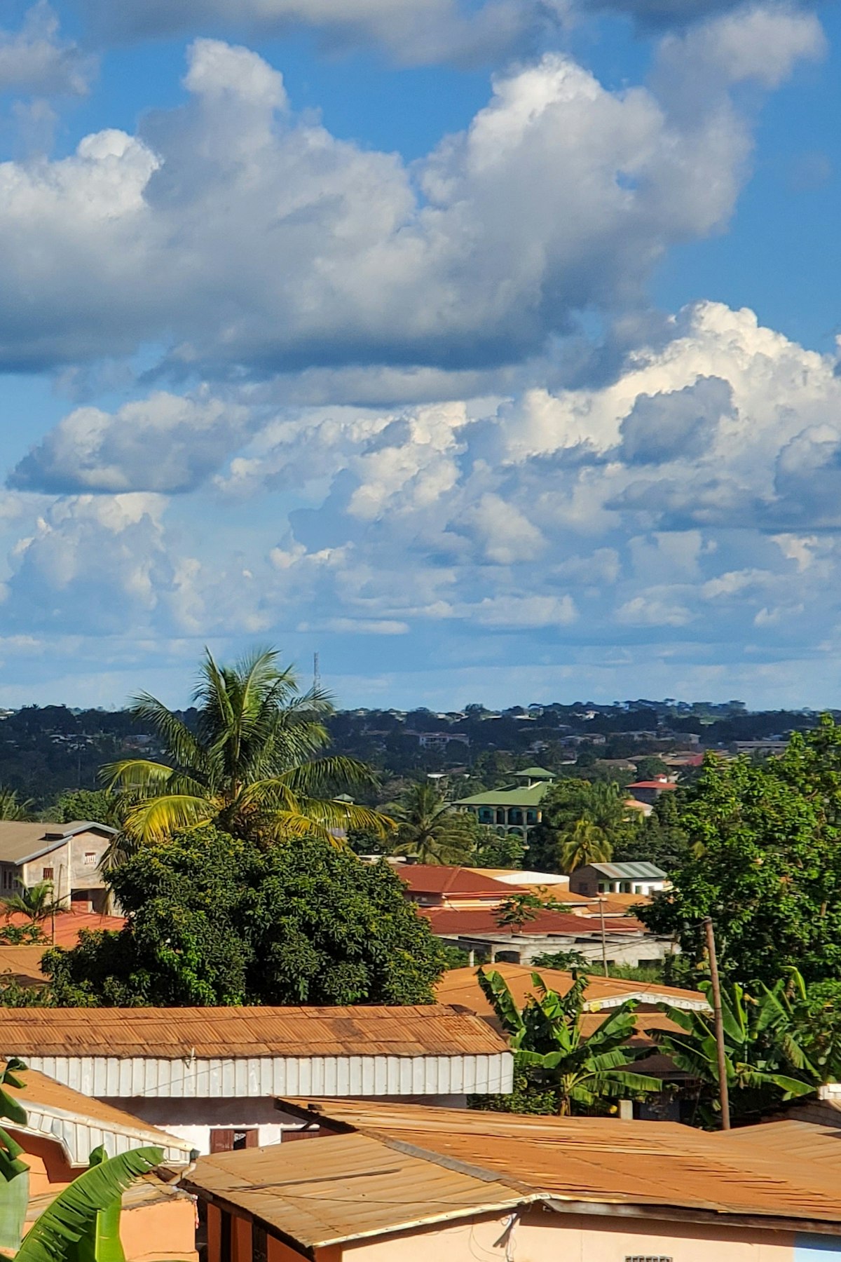 Kamerun – Kamerun vizesi