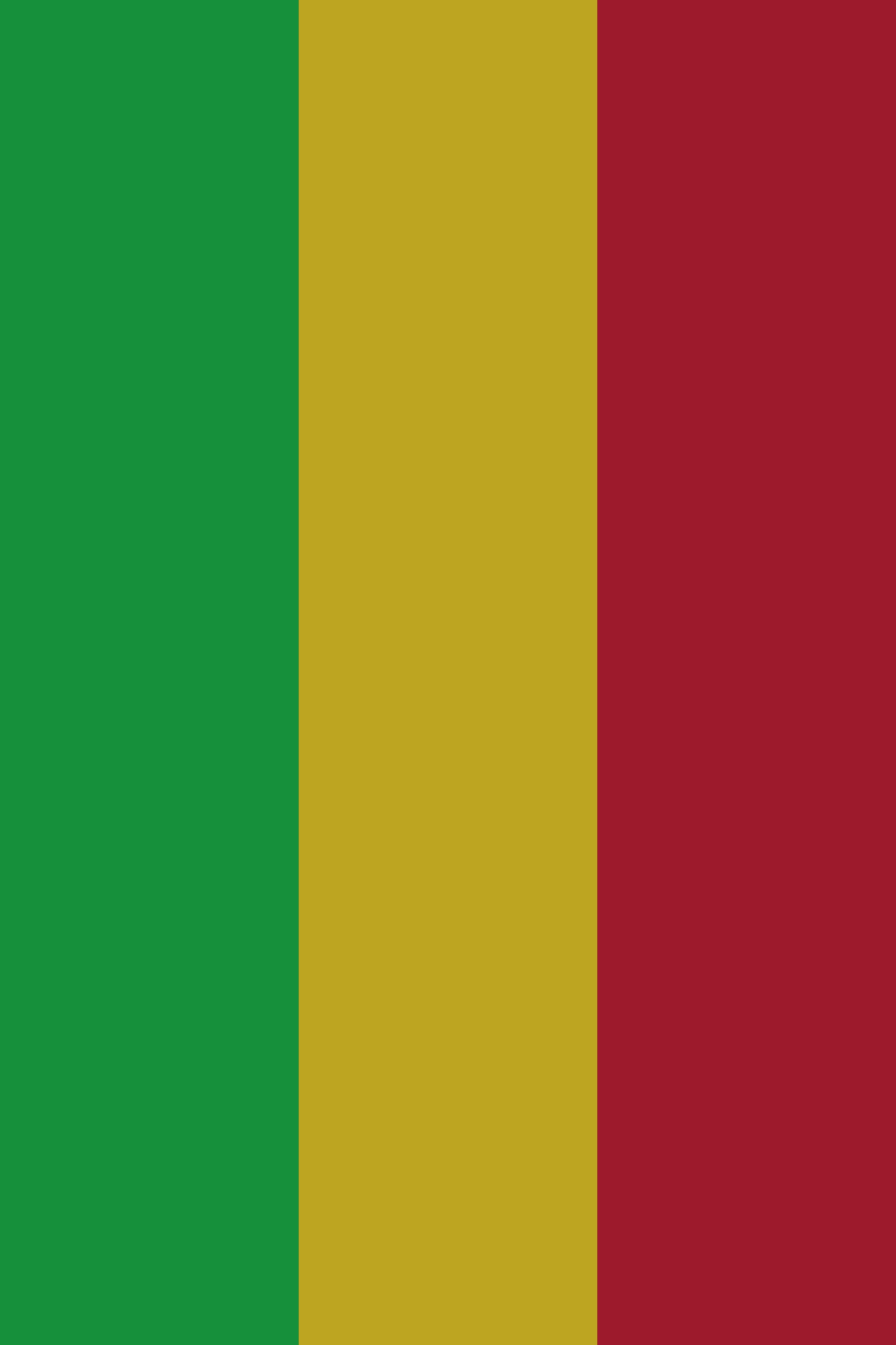 Mali bayrağının renkleri – Mali vizesi