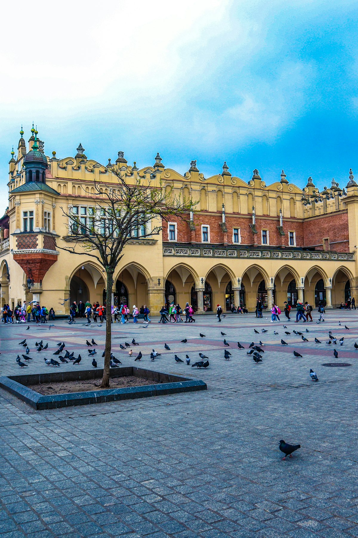 Ana Meydan (Rynek Główny) ve Kumaş Hali, Krakow, Polonya – Polonya vizesi
